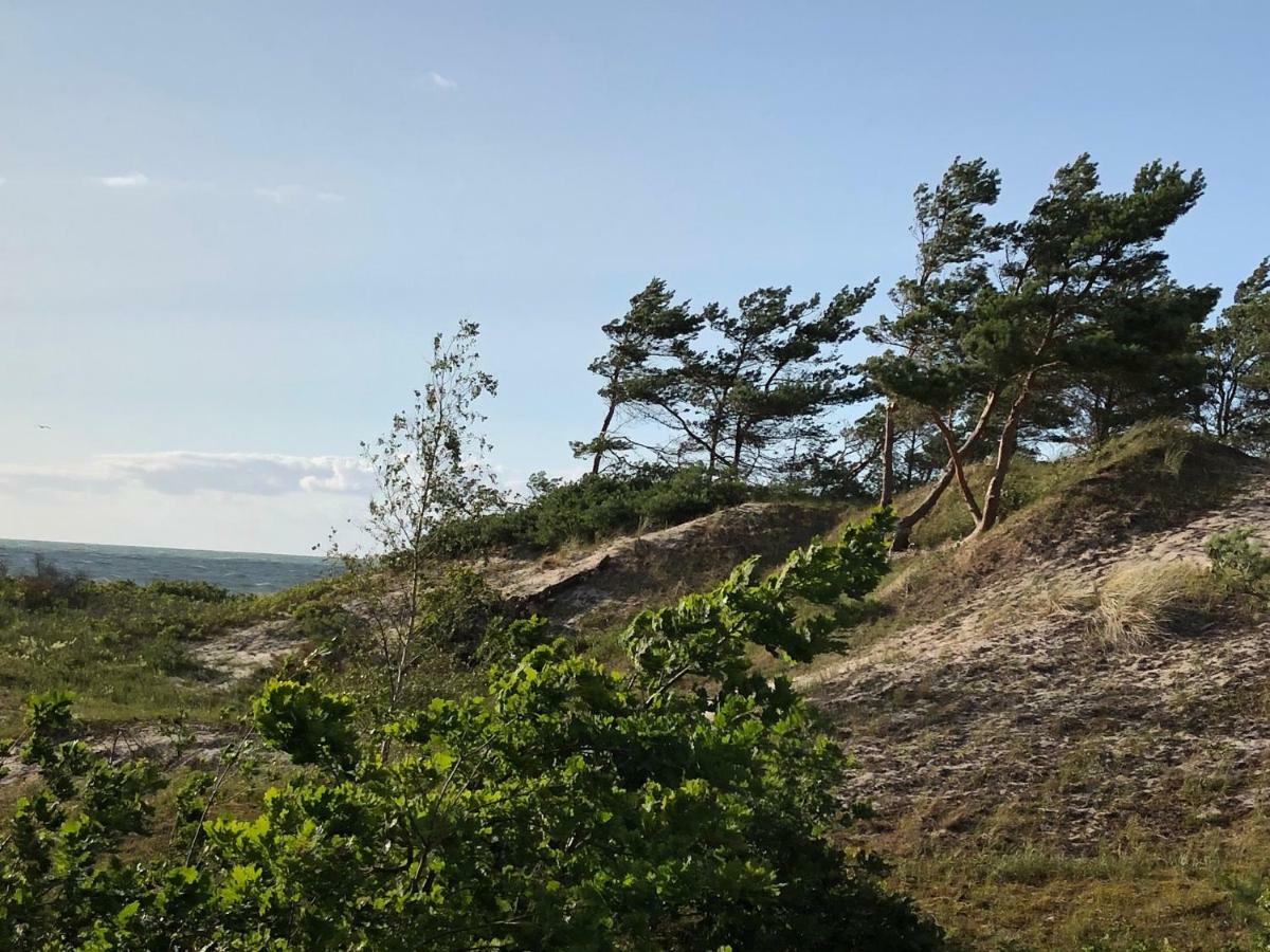 Haus Kranich Im Duenenwald 300M Zum Strand Dierhagen Εξωτερικό φωτογραφία